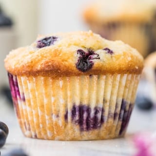BLUEBERRY MUFFIN