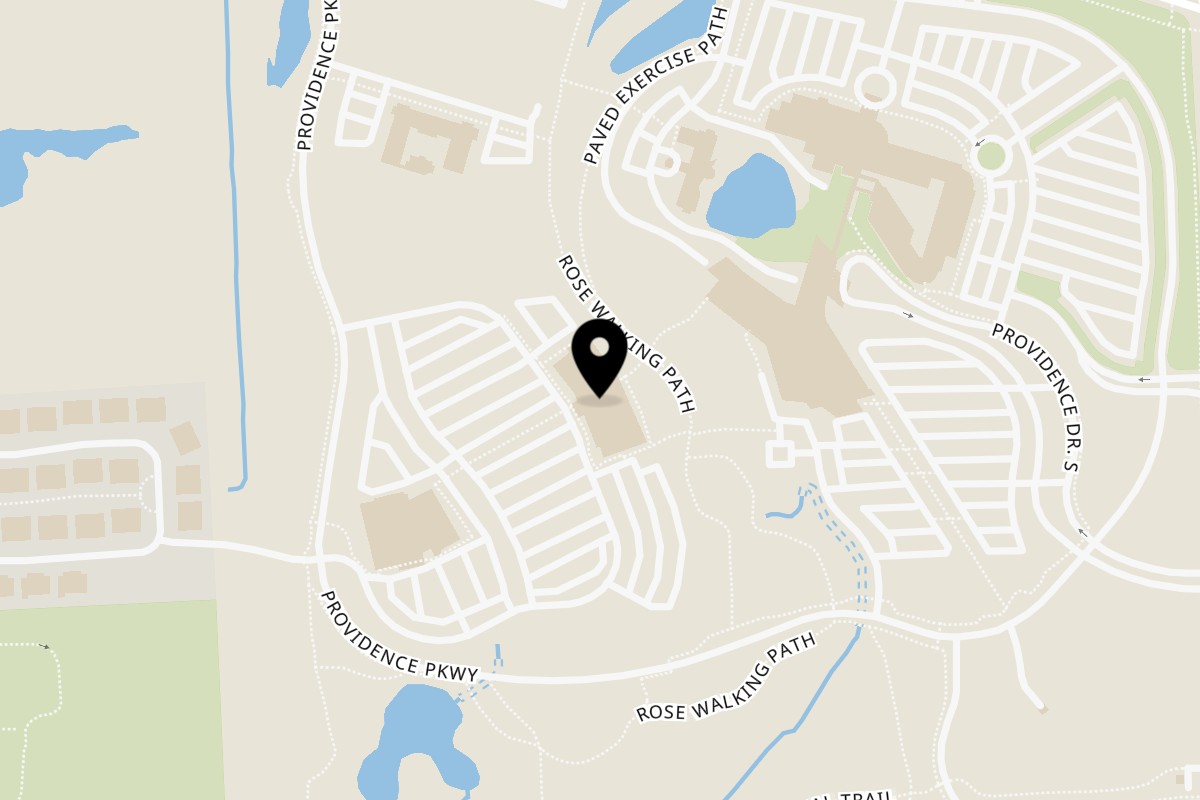 Map showing the location of The Original Marketplace Novi on 26850 Providence Parkway in Novi
